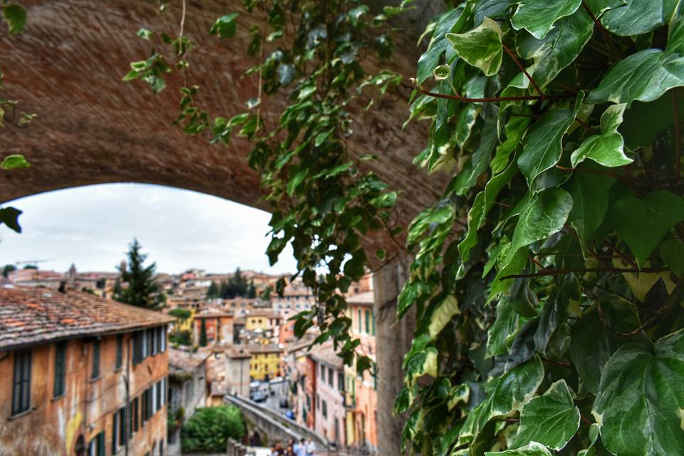 Perugia, Italy - Aaliyah Camp